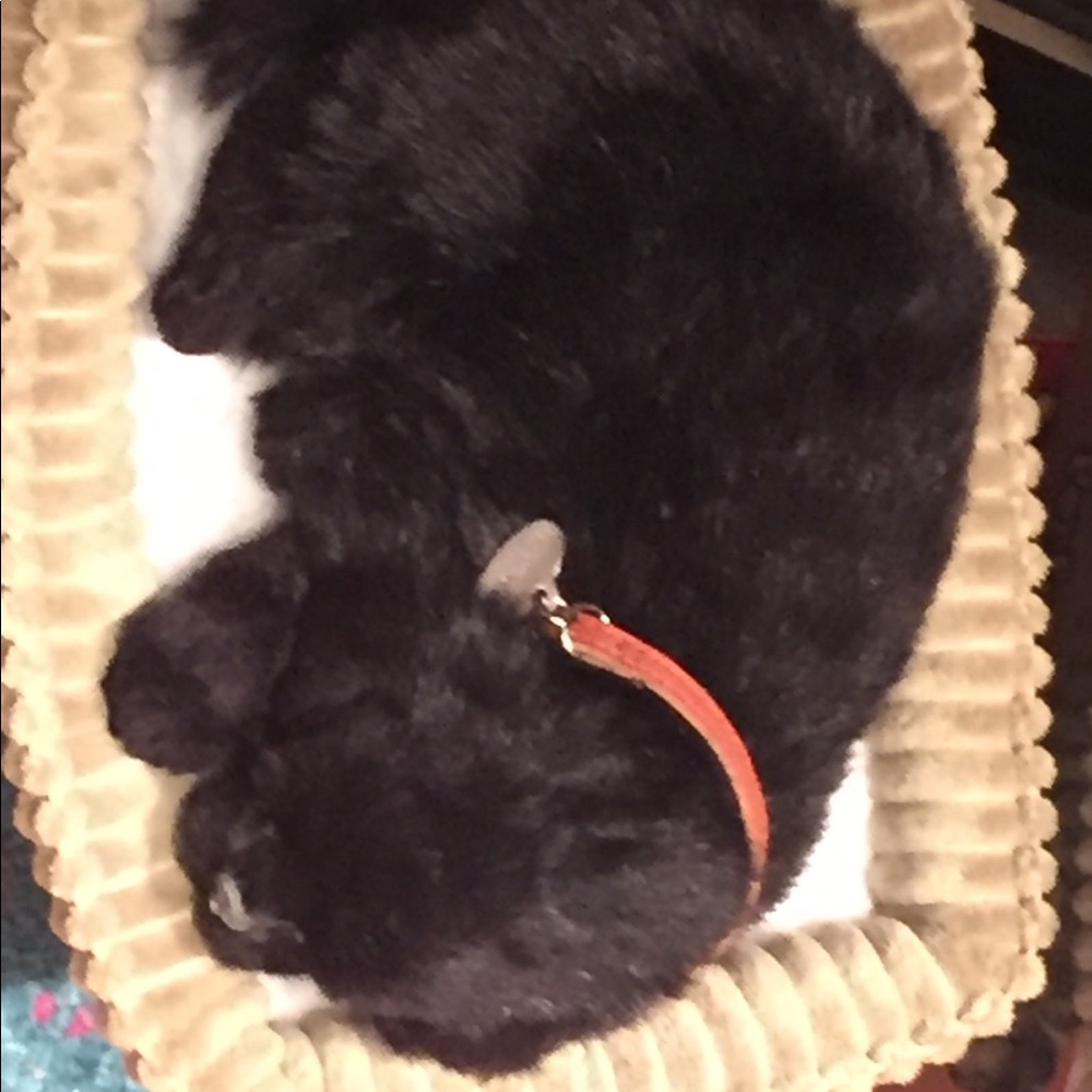 Meet your Posher, Theresa